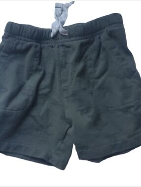 Carter's Dinosaur Cotton Shorts-24M